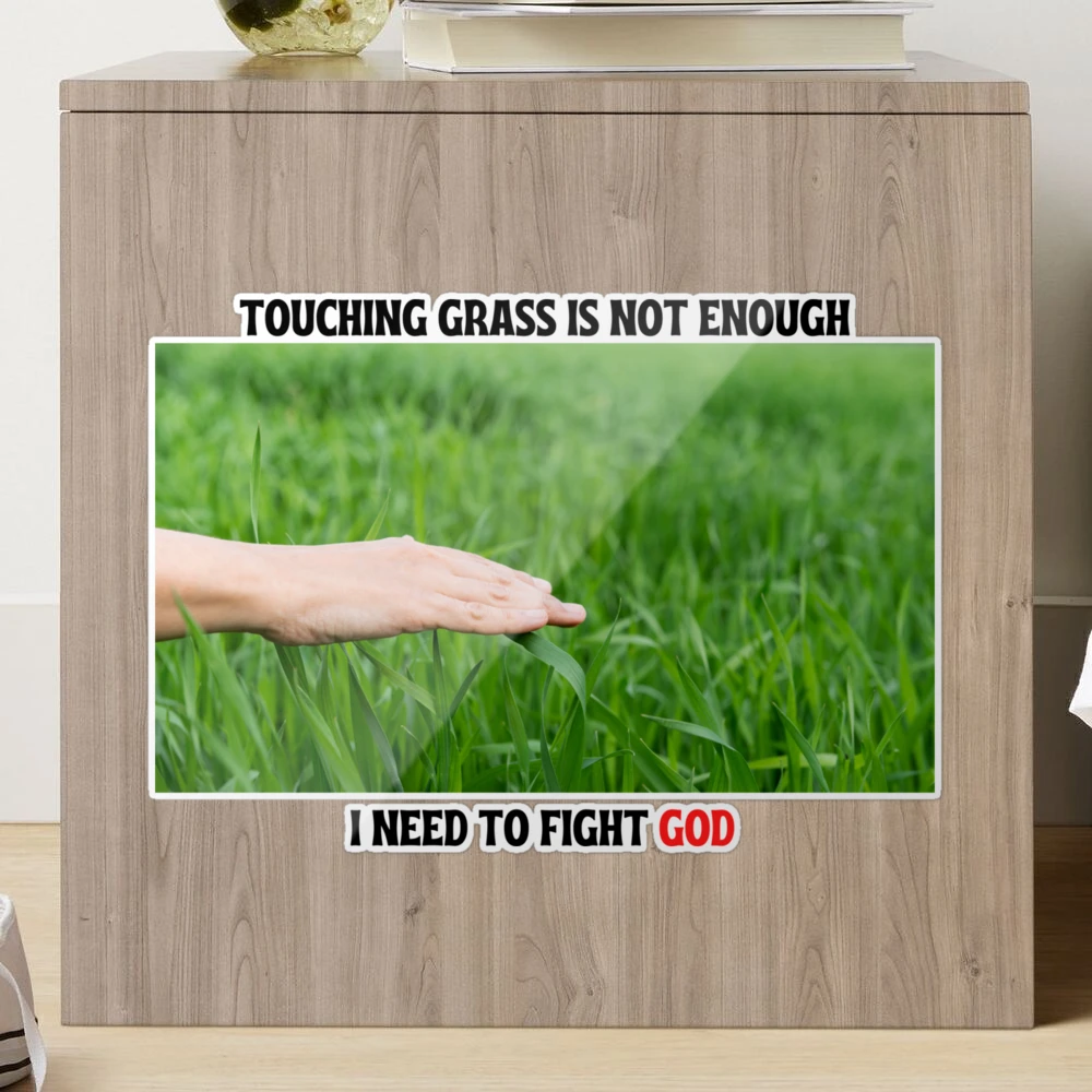 reasonable tbh, Touch Grass