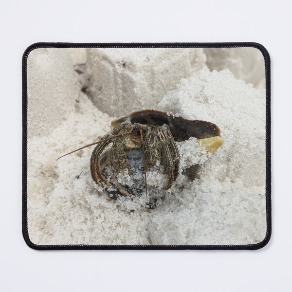 Item preview, Hermit Crab in Sand designed and sold by AustaArt.