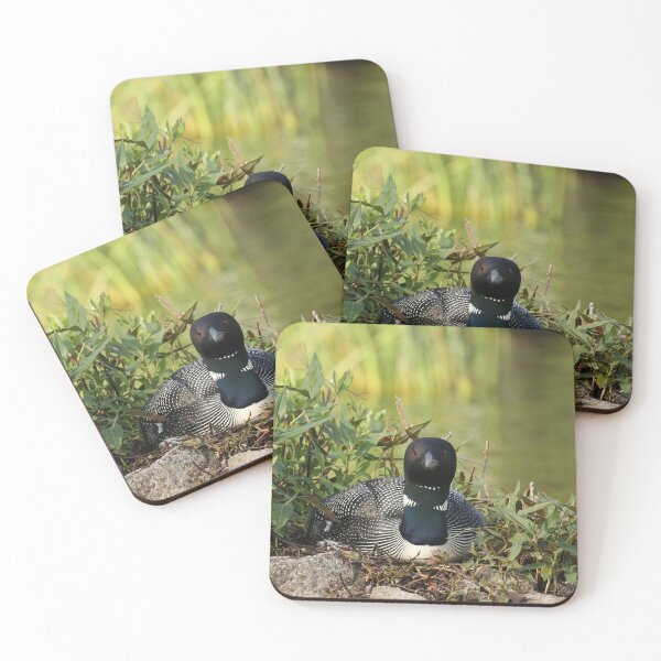 Item preview, Nesting Loon  designed and sold by locustgirl.