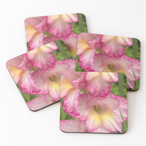 Artikelvorschau, Rosa und gelbe Gladiole entworfen und verkauft von Photomersion.