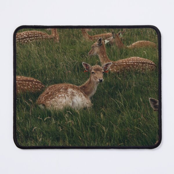 Item preview, White tailed deers in a meadow designed and sold by MadLeader.