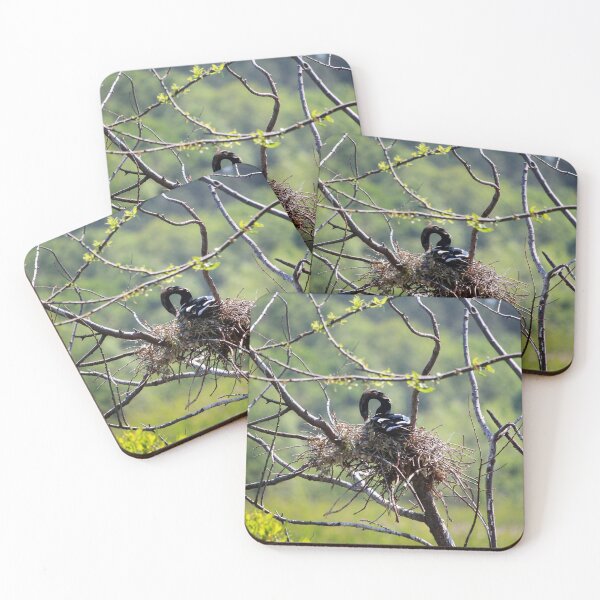 Item preview, Anhinga On Nest designed and sold by Cynthia48.