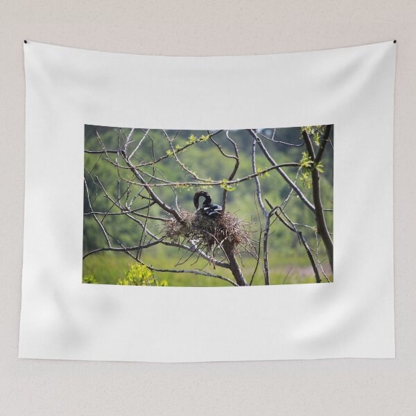 Item preview, Anhinga On Nest designed and sold by Cynthia48.