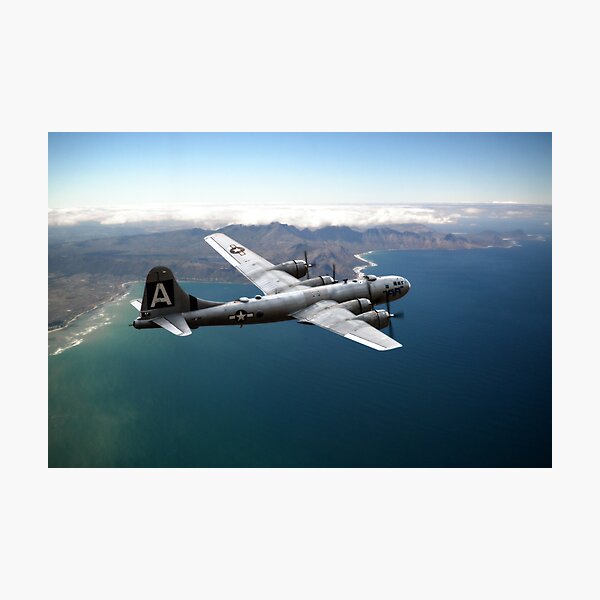 Fifi On Tour Photographic Print
