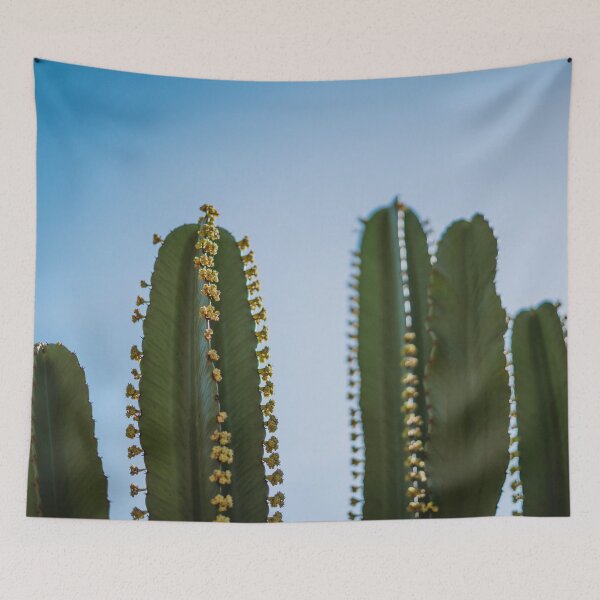 Item preview, Cactus Photography #2 designed and sold by anafrancisconi.