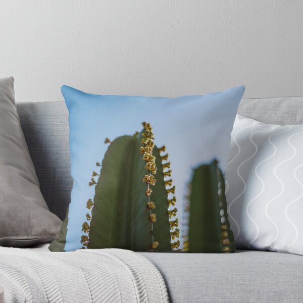 Item preview, Fotografía de cactus #4 designed and sold by anafrancisconi.
