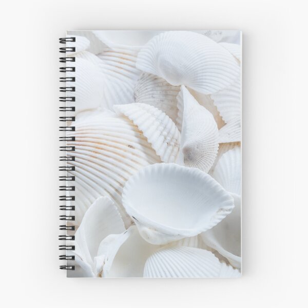 Item preview, White Seashells designed and sold by newburyboutique.