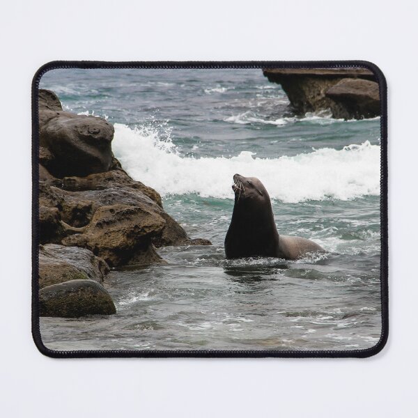 Item preview, Barking Sea Lion designed and sold by heatherfriedman.