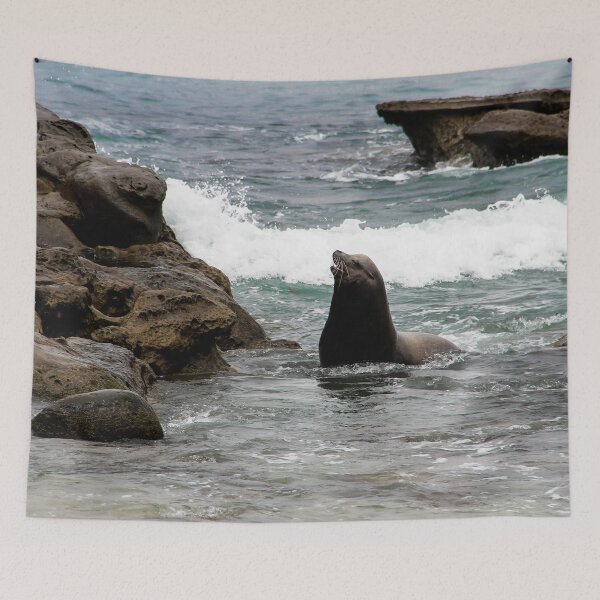 Item preview, Barking Sea Lion designed and sold by heatherfriedman.