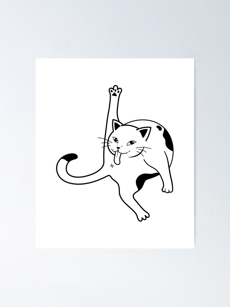 "Black and White Cat Licking Itself Funny Cat" Poster for Sale by Amir