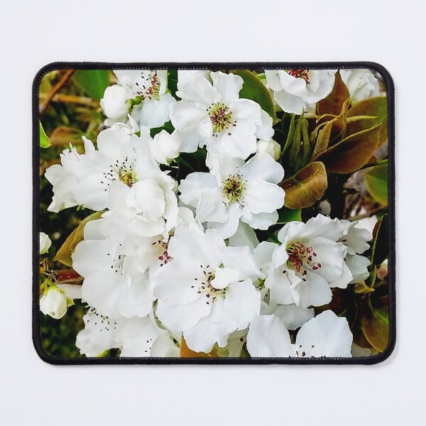 Item preview, Pretty spring White blossom flowers by Iritof designed and sold by iritof.