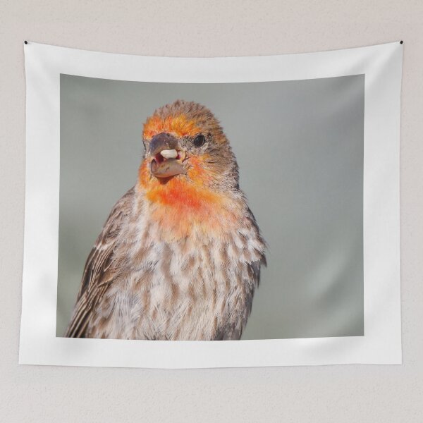 Item preview, A Unique Rust-colored House Finch designed and sold by FreelanceJim.