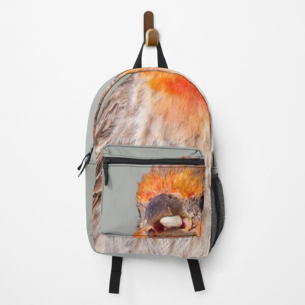 Item preview, A Unique Rust-colored House Finch designed and sold by FreelanceJim.