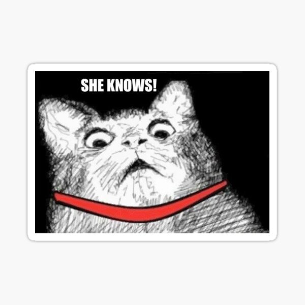 Shocked Cat Kitten Meme pfp Profile Picture Funny's Code & Price - RblxTrade