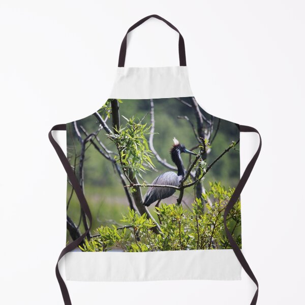 Item preview, Male Anhinga designed and sold by Cynthia48.