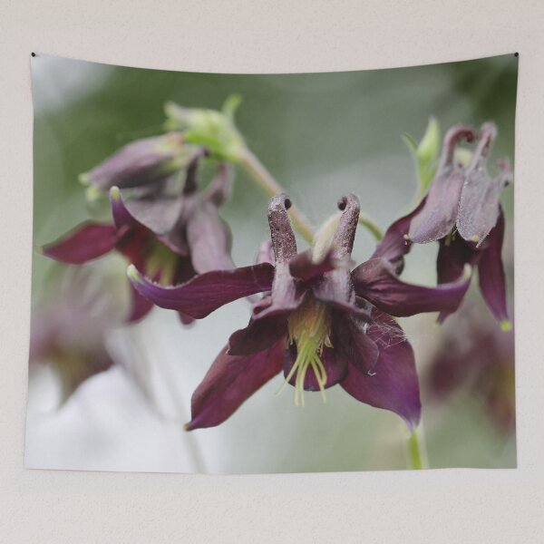 Item preview, Columbine III designed and sold by cuprum.