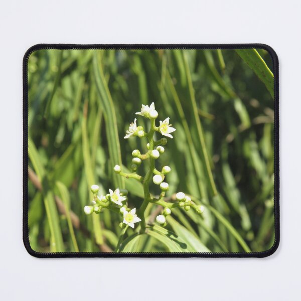 Item preview, Little white flowers designed and sold by greentiger1.
