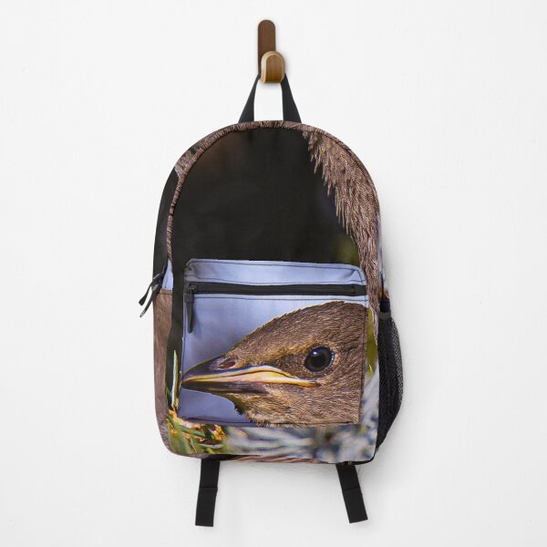 Item preview, A Juvenile Gray Catbird In A Spruce Tree designed and sold by FreelanceJim.