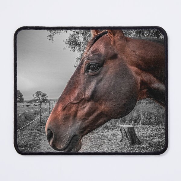 Item preview, The Stallion designed and sold by laurenhangus.