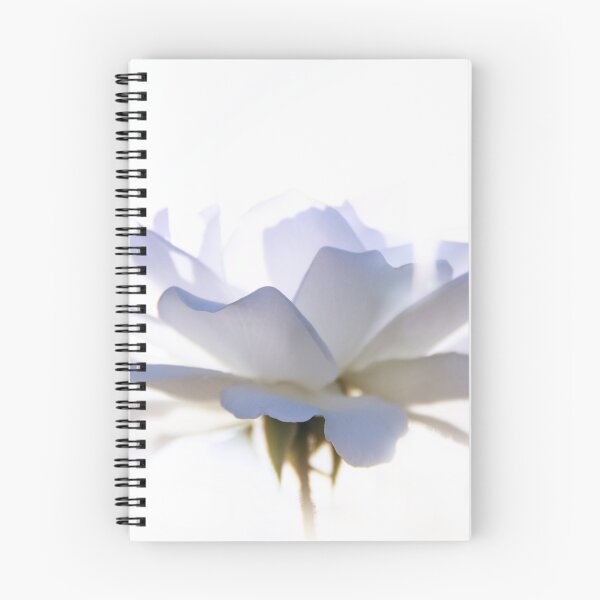 Item preview, Blue rose-2 designed and sold by Life Images by Jill .