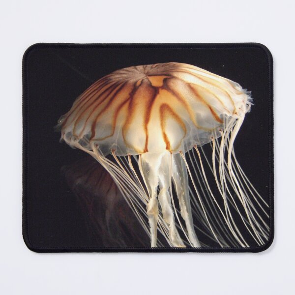Item preview, Jellyfish with Trailing Tentacles designed and sold by shirleyarment.