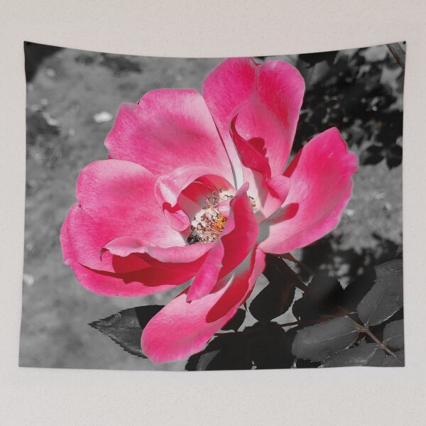 Item preview, Belleza rosa designed and sold by Eric Rasmussen.