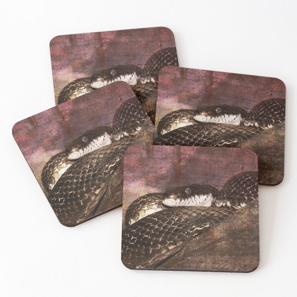 Item preview, Snakestress At Large Goth Snake designed and sold by NC NatureVisions.