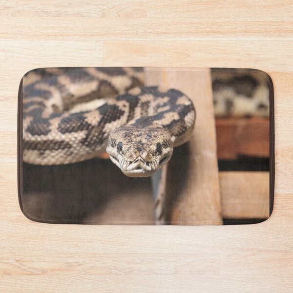 Item preview, South-West Carpet Python designed and sold by LeanneAllen.