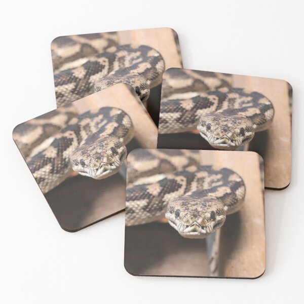 Item preview, South-West Carpet Python designed and sold by LeanneAllen.