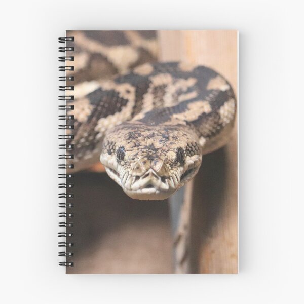 Item preview, South-West Carpet Python designed and sold by LeanneAllen.