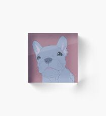 Geoff on pink Acrylic Block
