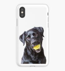 Baxter with ball iPhone Case