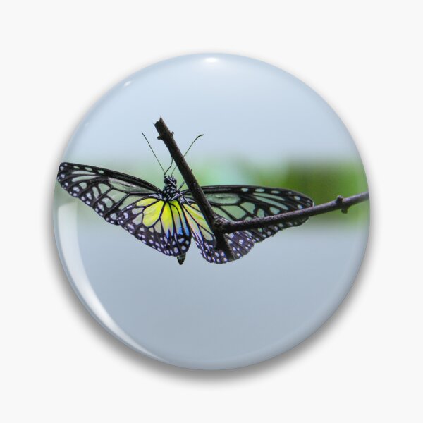 Item preview, Translucent butterfly designed and sold by indiafrankk.