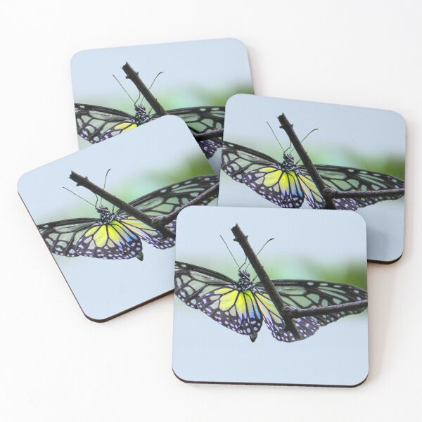 Item preview, Translucent butterfly designed and sold by indiafrankk.