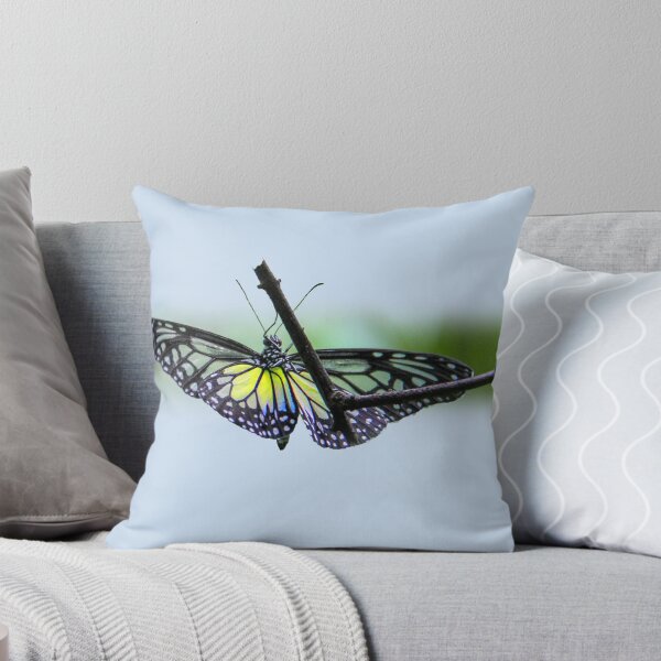 Item preview, Translucent butterfly designed and sold by indiafrankk.