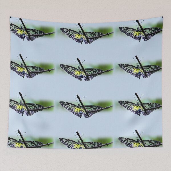 Item preview, Translucent butterfly designed and sold by indiafrankk.