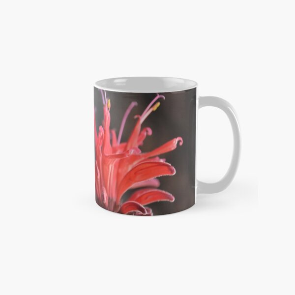 Red Mondara (Bee Balm) Classic Mug