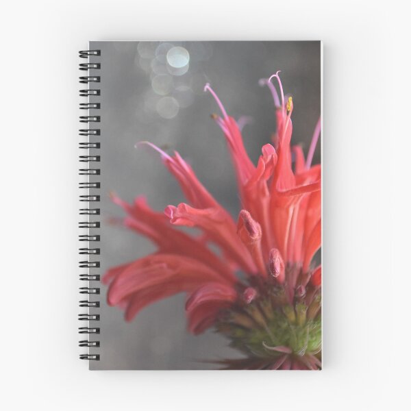 Item preview, Red Monarda (Bee Balm) designed and sold by BonnieJames.