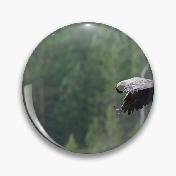 Artikelvorschau, Alarm. Seeadler entworfen und verkauft von Jouko Lehto Photography.