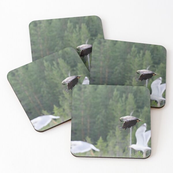 Item preview, Alert. White-tailed eagle designed and sold by Jouko Lehto Photography.