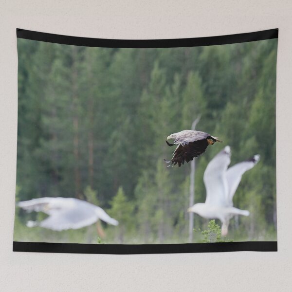 Item preview, Alert. White-tailed eagle designed and sold by Jouko Lehto Photography.