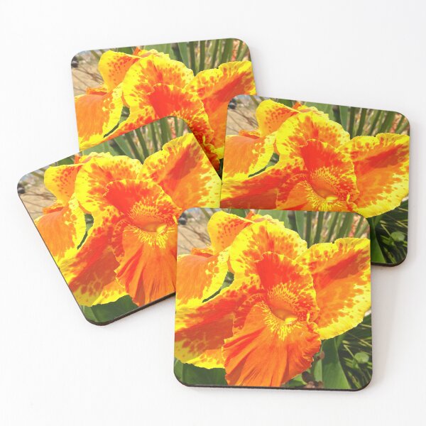 Item preview, Bright flower designed and sold by BreeFarinaPhoto.
