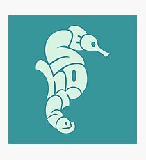 Seahorse Typography Photographic Print