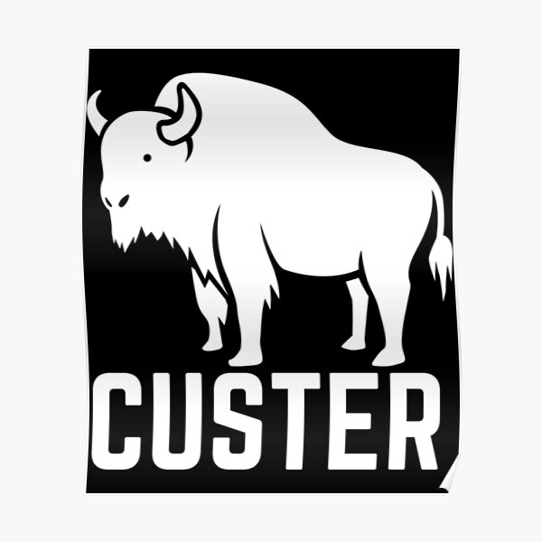 "Custer South Dakota " Poster for Sale by EmtizeeStore Redbubble