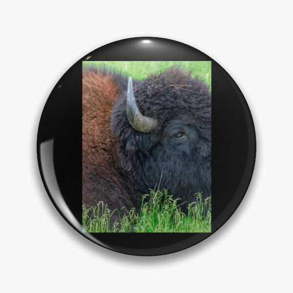 Item preview, Custer State Park    designed and sold by EmtizeeStore.