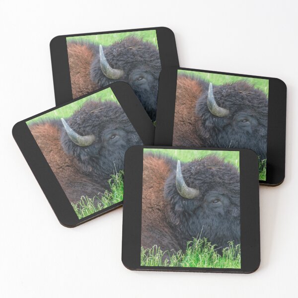 Item preview, Custer State Park    designed and sold by EmtizeeStore.