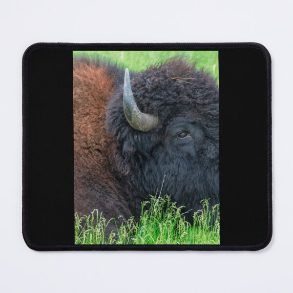 Item preview, Custer State Park    designed and sold by EmtizeeStore.