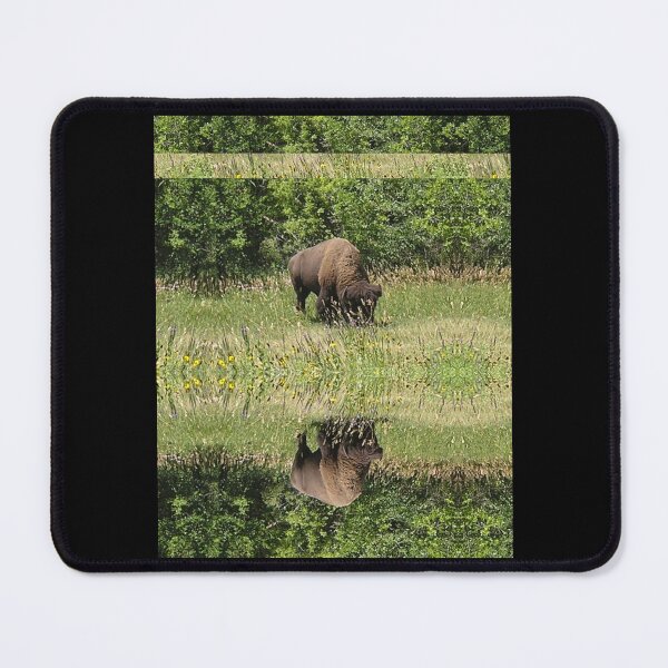 Item preview, Tatanka Bison Reflections in the Grass-Photo Custer State Park Graphic  designed and sold by EmtizeeStore.