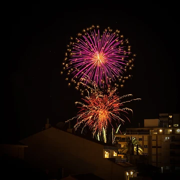 Artwork thumbnail, Firework Burst by Ralph Goldsmith