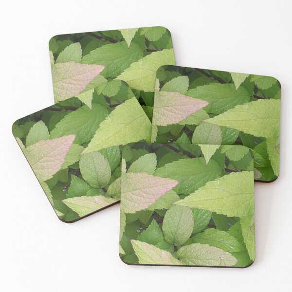 Item preview, Leaves designed and sold by Quirkyalonester.